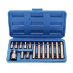 Set varfuri imbus BGS 15 piese