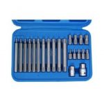 Set varfuri RIBE BGS 22 piese