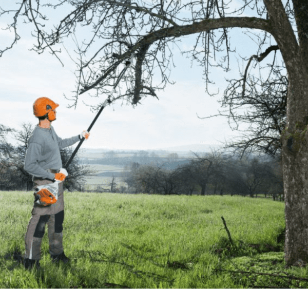 Emondor de inaltime STIHL HT 56 C-E - imagine 2