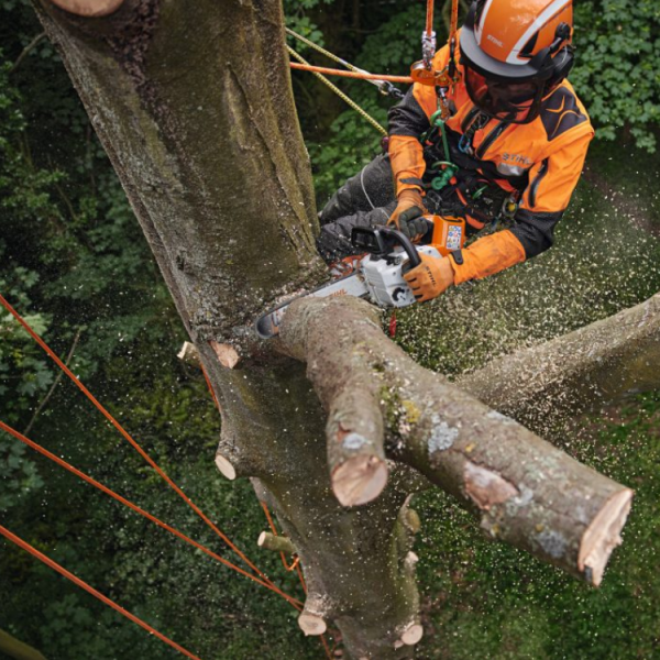 Motoferastrau STIHL compatibil cu acumulator si incarcator MSA 220 TC 35 cm